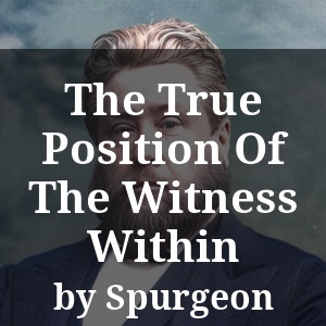 The True Position Of The Witness Within