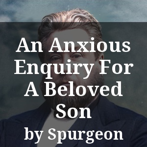 An Anxious Enquiry For A Beloved Son