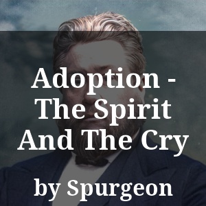 Adoption - The Spirit And The Cry