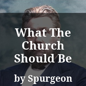 What The Church Should Be