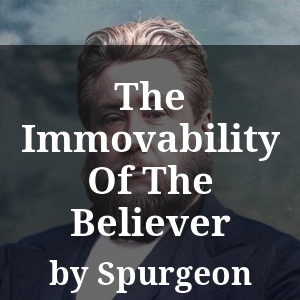 The Immovability Of The Believer