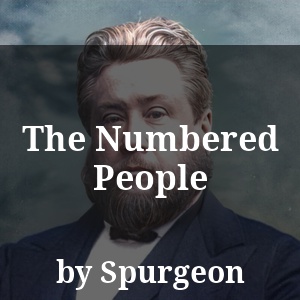 The Numbered People