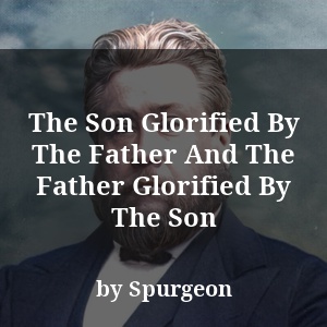 The Son Glorified By The Father And The Father Glorified By The Son