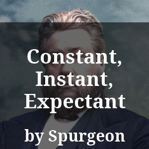 Constant, Instant, Expectant