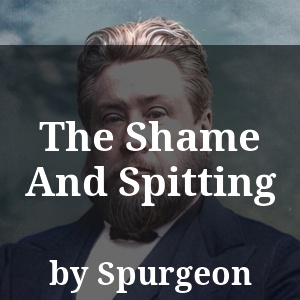 The Shame And Spitting