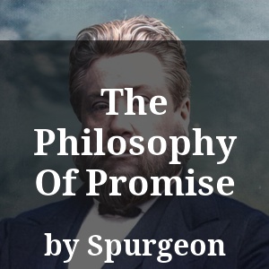 The Philosophy Of Promise