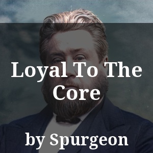 Loyal To The Core