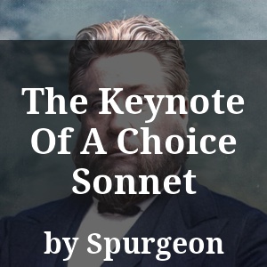 The Keynote Of A Choice Sonnet