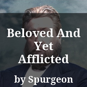 Beloved And Yet Afflicted