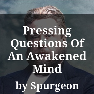 Pressing Questions Of An Awakened Mind