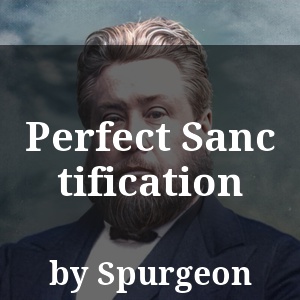 Perfect Sanctification