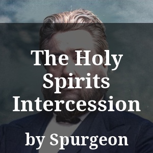 The Holy Spirits Intercession