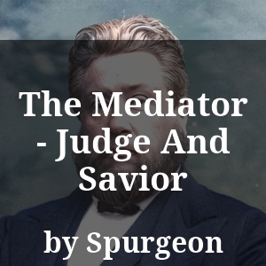 The Mediator - Judge And Savior