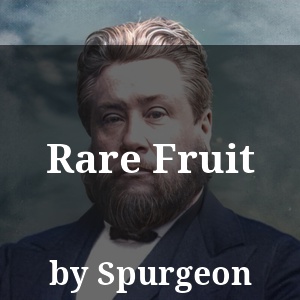 Rare Fruit