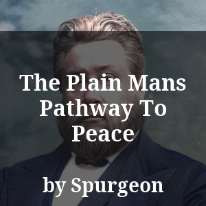 The Plain Mans Pathway To Peace