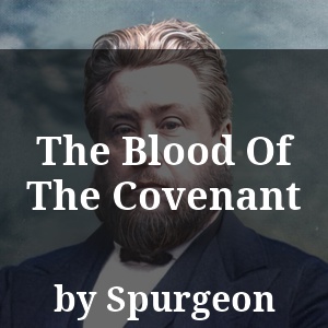 The Blood Of The Covenant