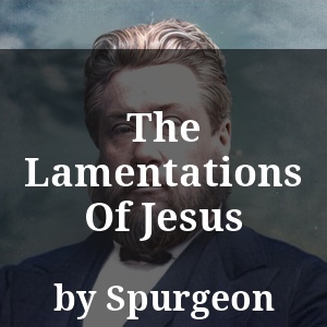 The Lamentations Of Jesus