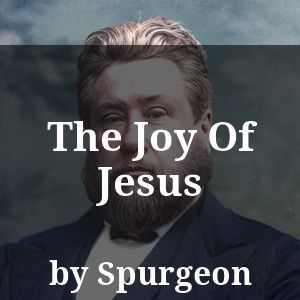 The Joy Of Jesus