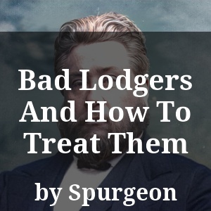 Bad Lodgers And How To Treat Them