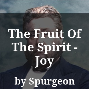 The Fruit Of The Spirit - Joy