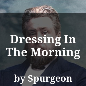 Dressing In The Morning