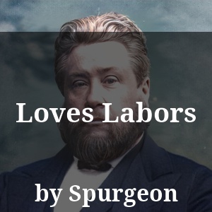 Loves Labors