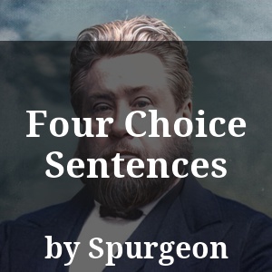 Four Choice Sentences