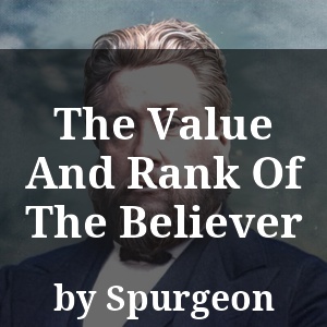 The Value And Rank Of The Believer