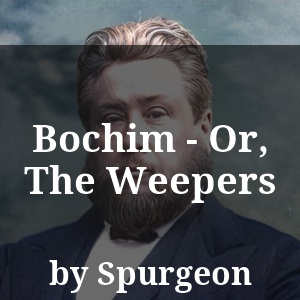 Bochim - Or, The Weepers