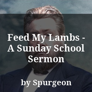 Feed My Lambs - A Sunday School Sermon