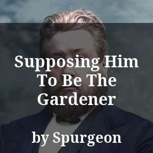 Supposing Him To Be The Gardener