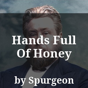 Hands Full Of Honey