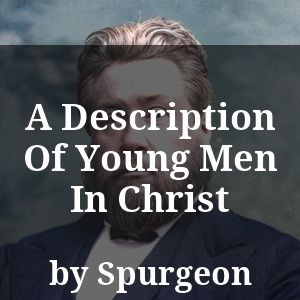 A Description Of Young Men In Christ