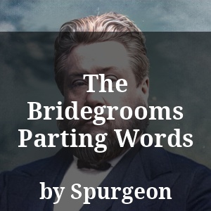 The Bridegrooms Parting Words