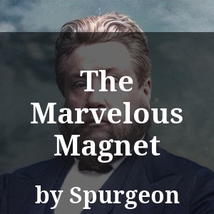 The Marvelous Magnet