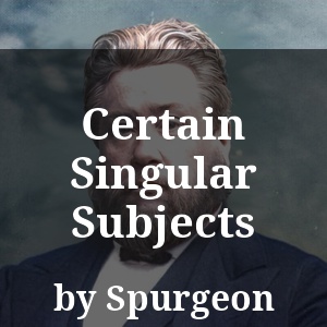 Certain Singular Subjects