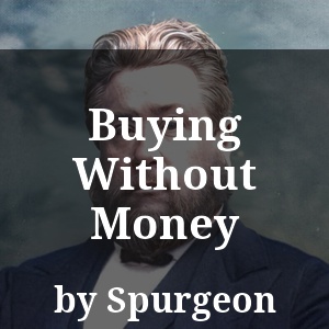 Buying Without Money