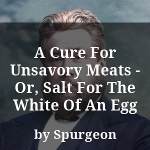 A Cure For Unsavory Meats - Or, Salt For The White Of An Egg