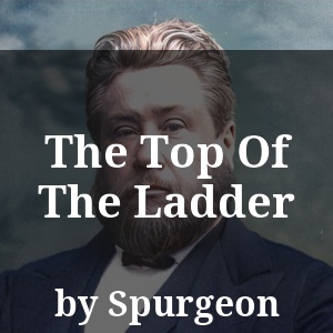 The Top Of The Ladder