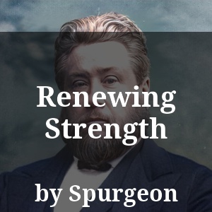 Renewing Strength