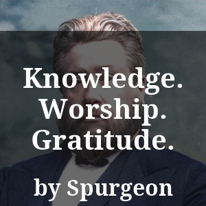 Knowledge. Worship. Gratitude.