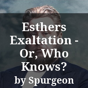 Esthers Exaltation - Or, Who Knows?