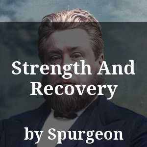 Strength And Recovery