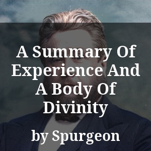 A Summary Of Experience And A Body Of Divinity