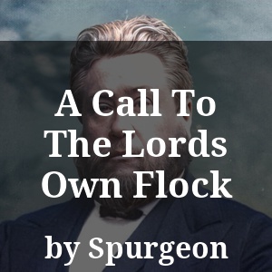 A Call To The Lords Own Flock