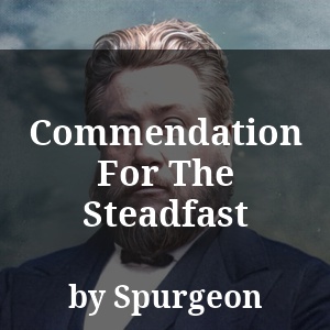 Commendation For The Steadfast