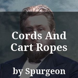 Cords And Cart Ropes