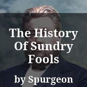 The History Of Sundry Fools