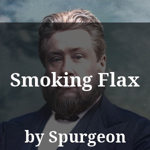 Smoking Flax