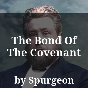 The Bond Of The Covenant